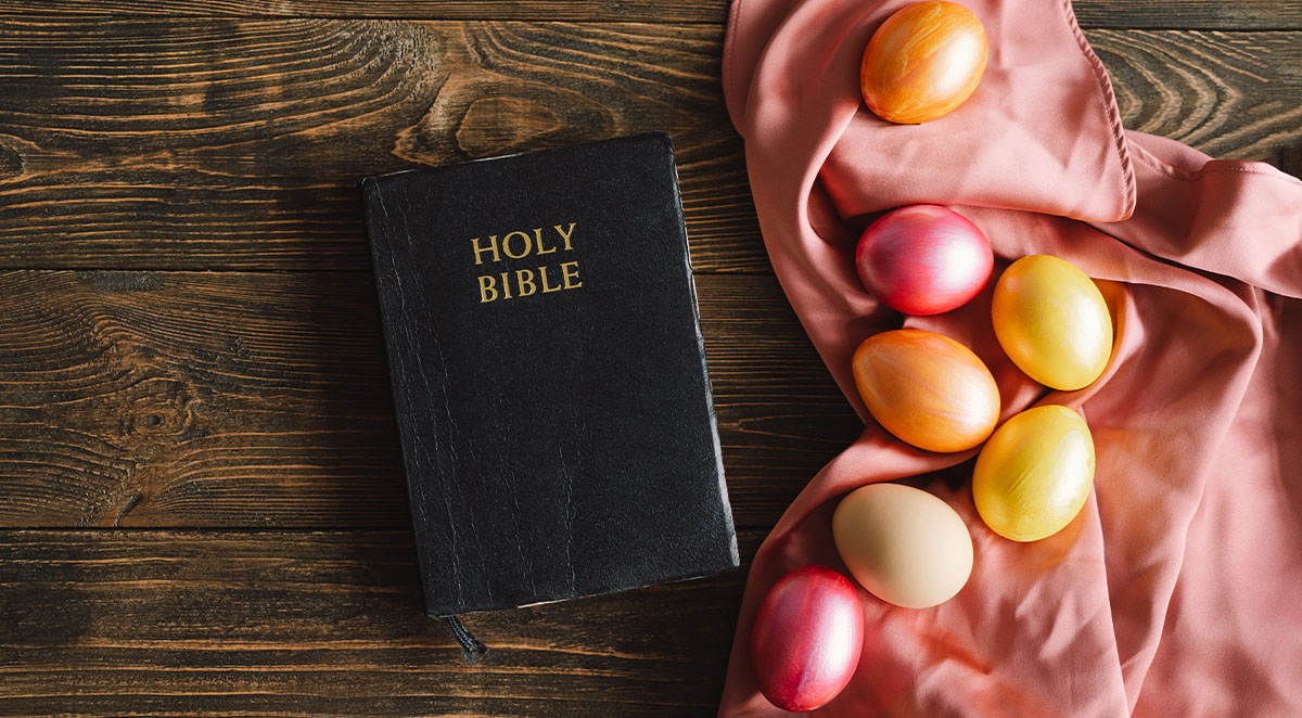 ba1b7eb9b8ad142948e3b9dce300b4c6 Emmanuel Lutheran School - Asheville Christian School - Blog